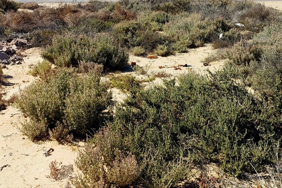  Bedroom Property for Sale in Port Nolloth Northern Cape
